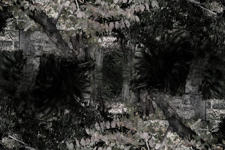 SDIM4729