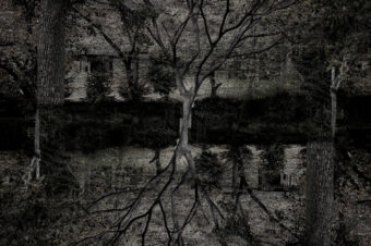 SDIM4737