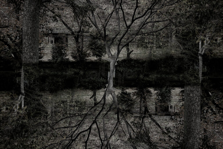 SDIM4737