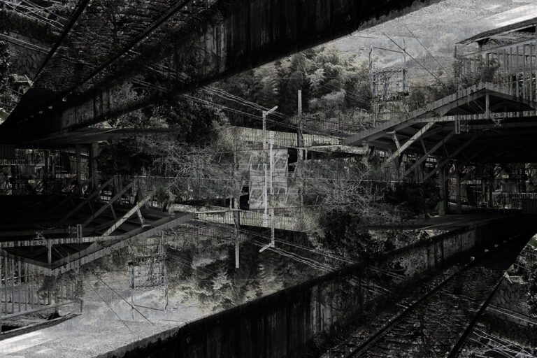 SDIM5279