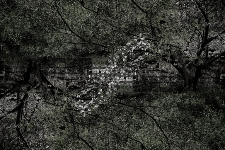 SDIM5281