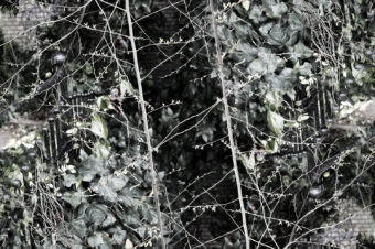 SDIM5451
