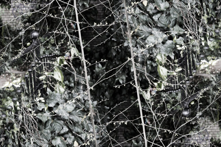 SDIM5451