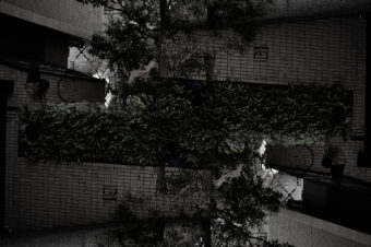 SDIM5463