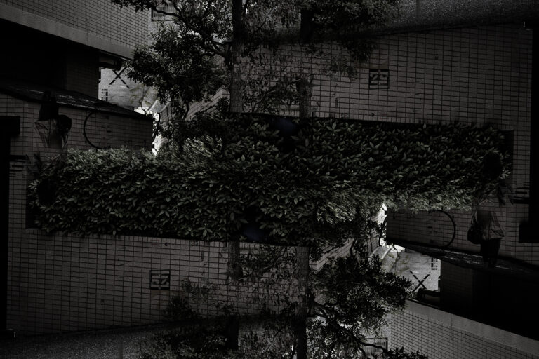 SDIM5463