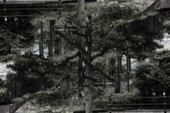 SDIM5558