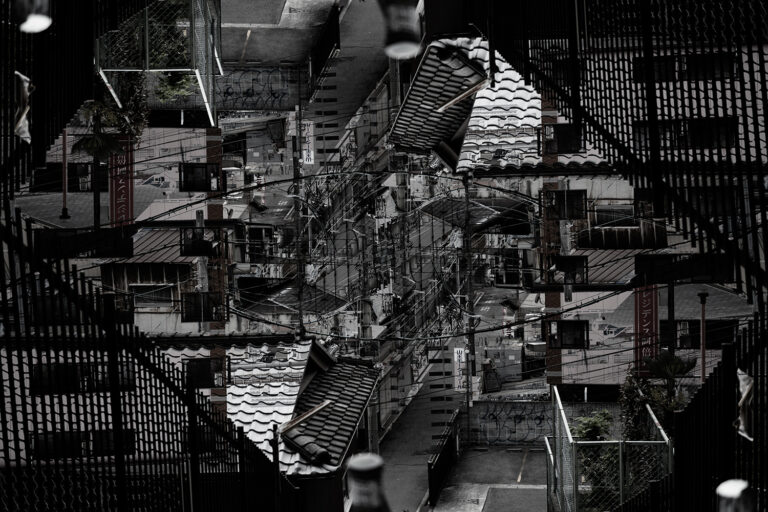 SDIM5561