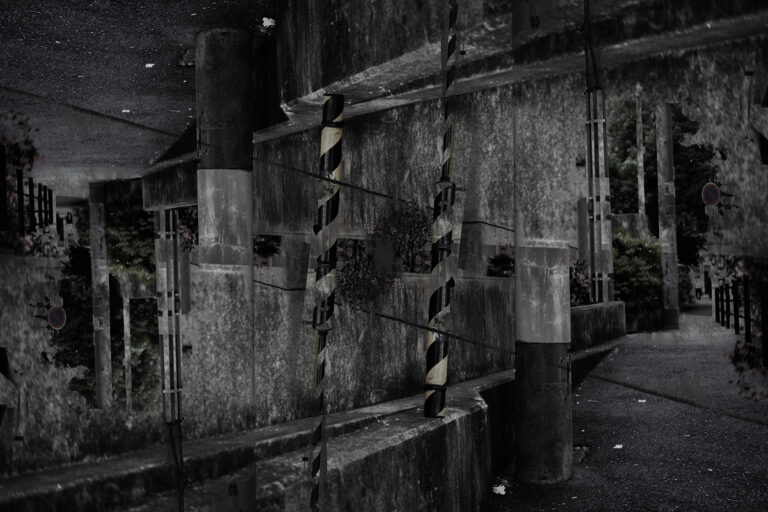 SDIM5673
