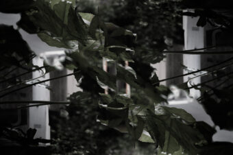 SDIM5684