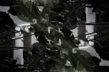 SDIM5684