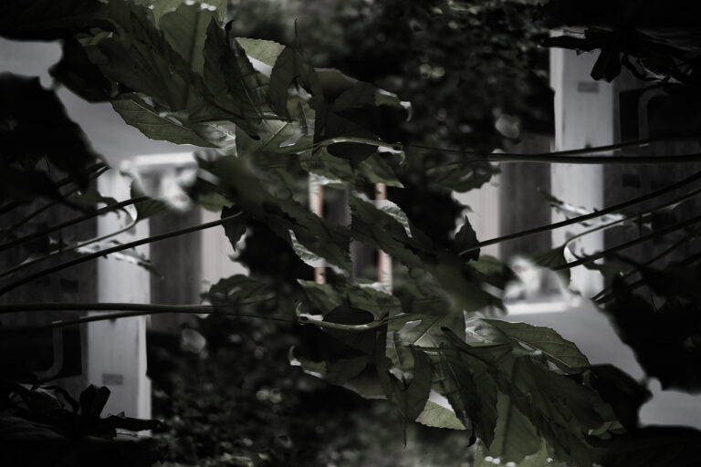 SDIM5684