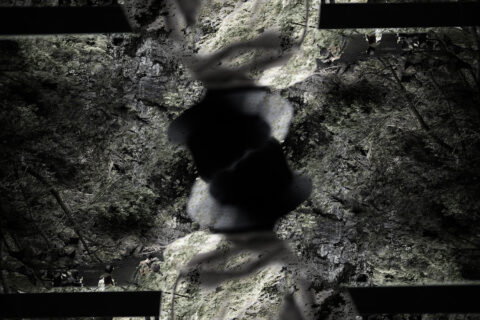 2023 / Iconography『瞬き』
