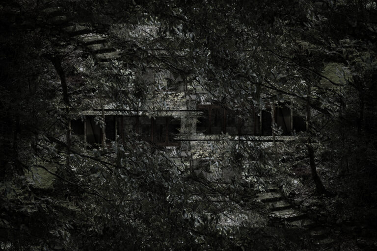 SDIM5610